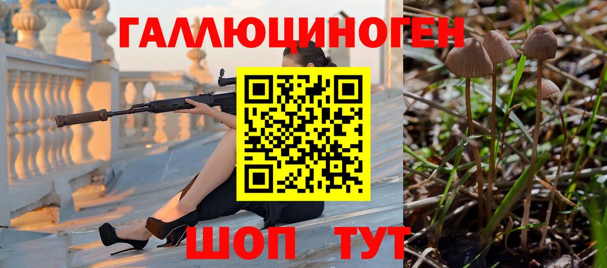 Ступино  Псилоцибиновые грибы Psilocybe  Вход с VPN 